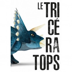 Le Tricératops - SASSI-9788830309050 - Sassi - Documentaires - Le Nuage de Charlotte