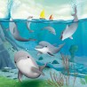 Dauphins Joueurs - SMT-SGT310FR - Smart - Logic Games - Le Nuage de Charlotte