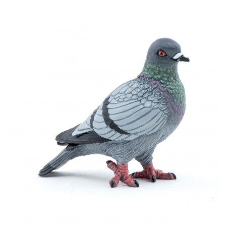 Pigeon - PAPO-🟢-50295 - Papo - Papo - Le Nuage de Charlotte