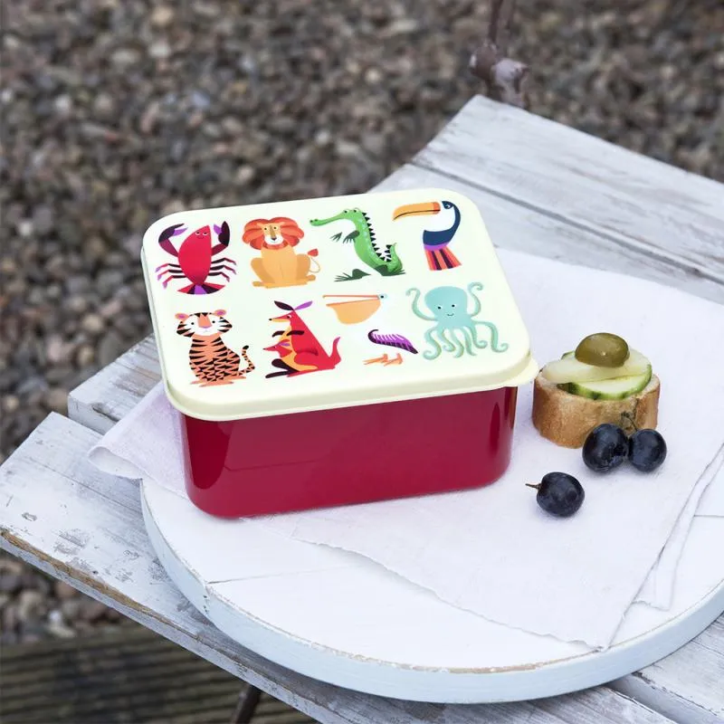 Colourful Creatures Lunch Box - REX-26552 - Rex London - Lunch box, fruit and snack - Le Nuage de Charlotte