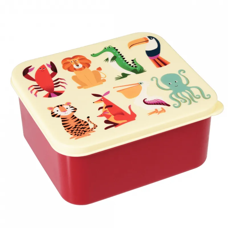 Colourful Creatures Lunch Box - REX-26552 - Rex London - Lunch box, fruit and snack - Le Nuage de Charlotte