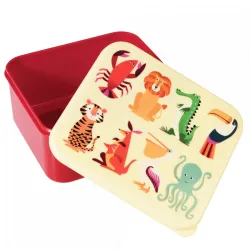 Colourful Creatures Lunch Box - REX-26552 - Rex London - Lunch box, fruit and snack - Le Nuage de Charlotte