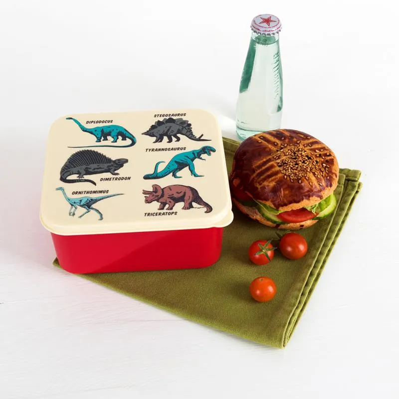 Prehistoric Land Lunch Box - REX-28212 - Rex London - Lunch box, fruit and snack - Le Nuage de Charlotte