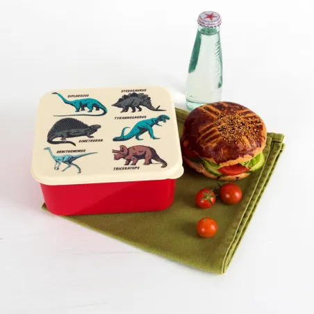 Prehistoric Land Lunch Box - REX-28212 - Rex London - Lunch box, fruit and snack - Le Nuage de Charlotte