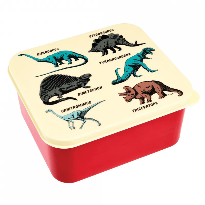 Prehistoric Land Lunch Box - REX-28212 - Rex London - Lunch box, fruit and snack - Le Nuage de Charlotte