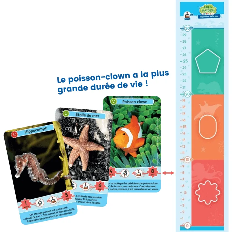 Défis Nature Junior - Merveilles de la Mer - BIOV-15280242 - BioViva - Jeux de société - Le Nuage de Charlotte