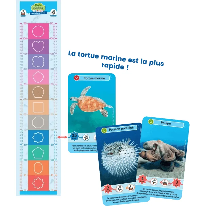 Défis Nature Junior - Merveilles de la Mer - BIOV-15280242 - BioViva - Board Games - Le Nuage de Charlotte