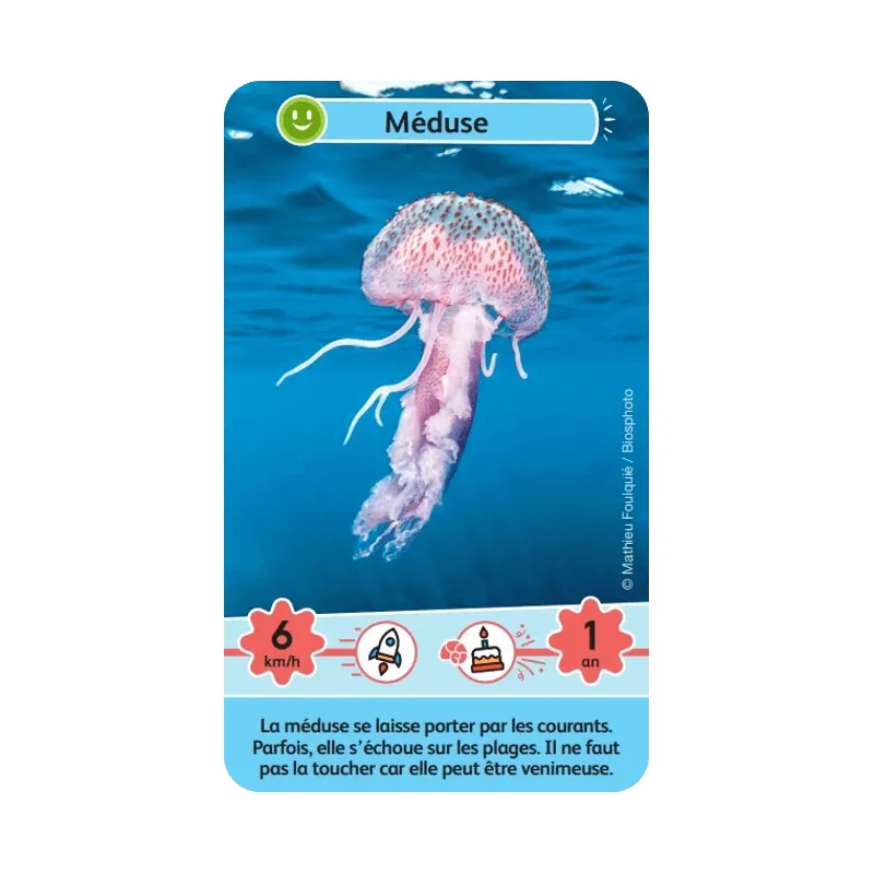 Défis Nature Junior - Merveilles de la Mer - BIOV-15280242 - BioViva - Board Games - Le Nuage de Charlotte