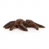 Jellycat Spindleshanks Spider - JEL-SPIN6S - Jellycat - Jellycat - Le Nuage de Charlotte