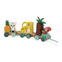 Tropik - Pull-Along Tropical Train - JAN-J08264 - Janod - Pull Along Toys - Le Nuage de Charlotte