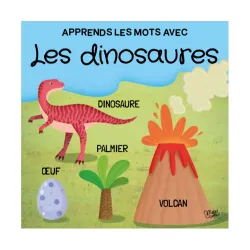 Q-box - Dinosaurs - SASSI-9788830307551 - Sassi - Puzzles for little ones - Le Nuage de Charlotte