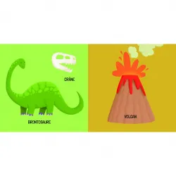 Q-box - Dinosaurs - SASSI-9788830307551 - Sassi - Puzzles for little ones - Le Nuage de Charlotte