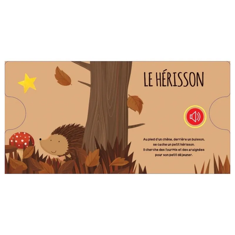 La forêt - Livres sonores - SASSI-9788830313569 - Sassi - Livres d'Activités - Le Nuage de Charlotte