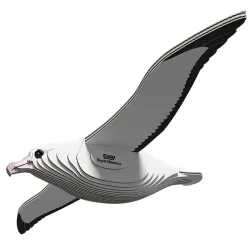 Eugy 097 - Royal Albatross - EUG-5313996 - dodoland - Maquettes en carton - Le Nuage de Charlotte