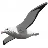 Eugy 097 - Albatros royal - EUG-5313996 - dodoland - Maquettes en carton - Le Nuage de Charlotte