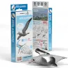 Eugy 097 - Albatros royal - EUG-5313996 - dodoland - Maquettes en carton - Le Nuage de Charlotte