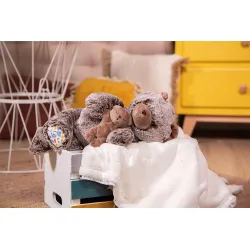 Kaloo - Peluche Papa Ours Oscar - KLO-K971002 - Kaloo - Mes Doudous - Le Nuage de Charlotte