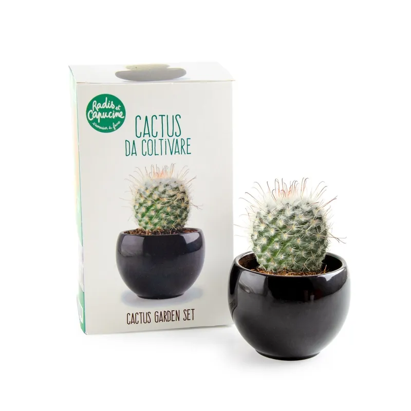 Kit de culture - Cactus - R&C-140830 - Radis et Capucine - Nature et découvertes - Le Nuage de Charlotte