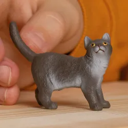 British shorthair - SCH-13973-🟢 - Schleich - Figurines et accessoires - Le Nuage de Charlotte