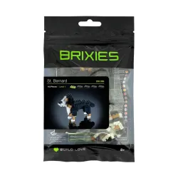 Brixies - St. Bernard - BXS-200.066 - Brixies - Brixies - Le Nuage de Charlotte