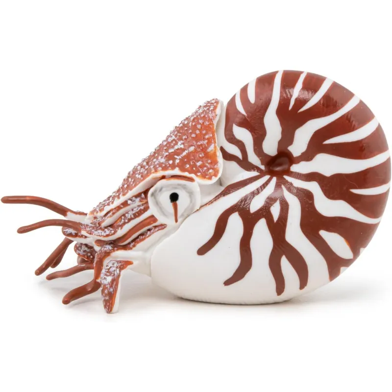 Nautilus - PAPO-56061 - Papo - Papo - Le Nuage de Charlotte