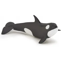 Baby orca - PAPO-🔴-56040 - Papo - Papo - Le Nuage de Charlotte