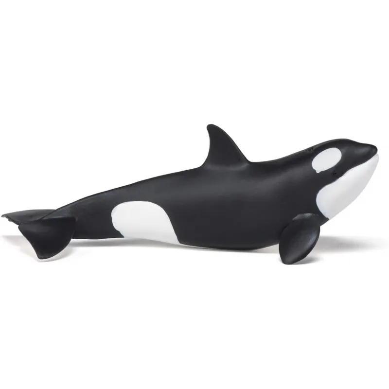 Baby orca - PAPO-🔴-56040 - Papo - Papo - Le Nuage de Charlotte