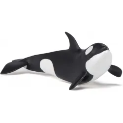 Baby orca - PAPO-🔴-56040 - Papo - Papo - Le Nuage de Charlotte