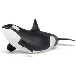 Baby orca - PAPO-🔴-56040 - Papo - Papo - Le Nuage de Charlotte