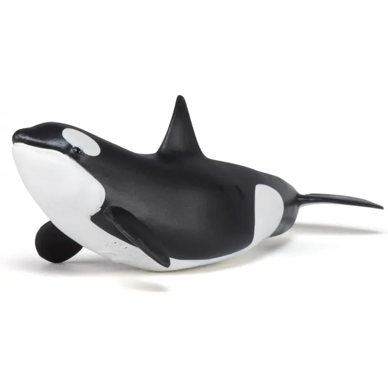 Baby orca - PAPO-🔴-56040 - Papo - Papo - Le Nuage de Charlotte