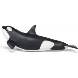 Baby orca - PAPO-🔴-56040 - Papo - Papo - Le Nuage de Charlotte