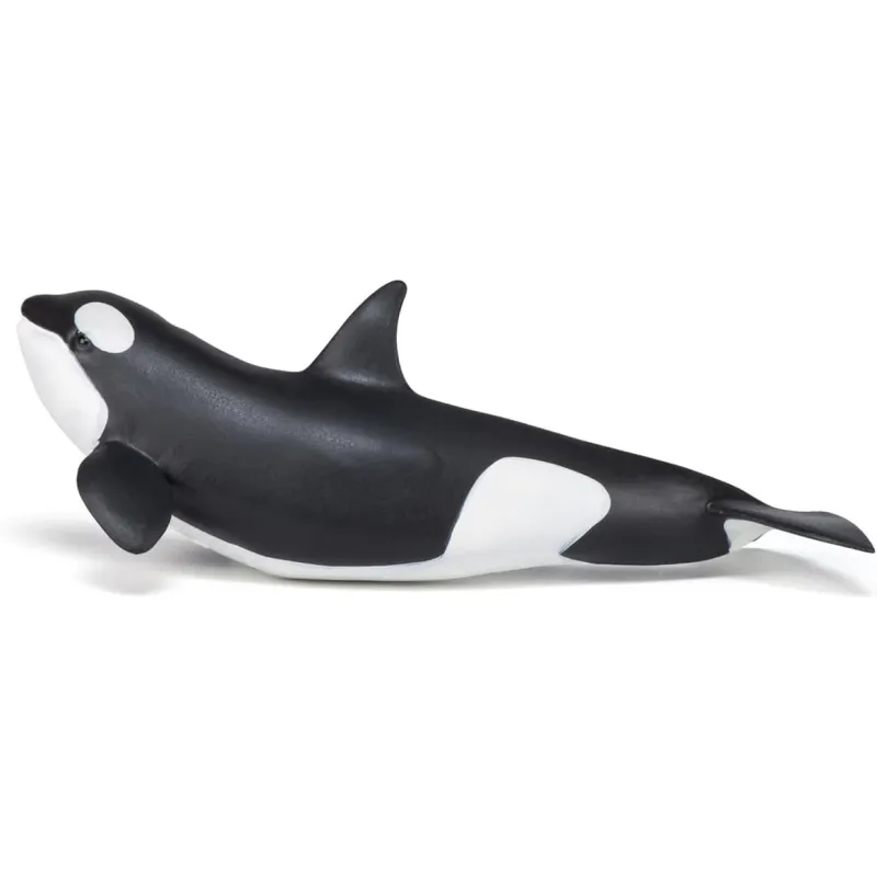 Baby orca - PAPO-🔴-56040 - Papo - Papo - Le Nuage de Charlotte