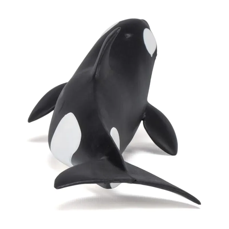 Baby orca - PAPO-🔴-56040 - Papo - Papo - Le Nuage de Charlotte