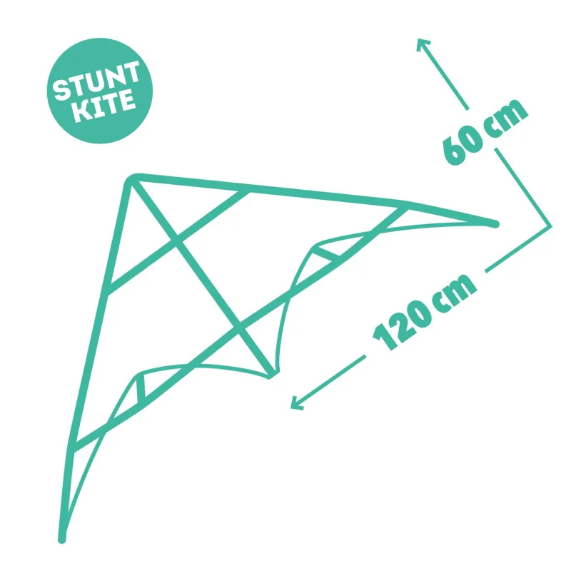 Sunt kite - Green Wave - DJE-DJ02163 - Djeco - Kite - Le Nuage de Charlotte