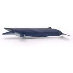 Blue whale - PAPO-56037 - Papo - Papo - Le Nuage de Charlotte