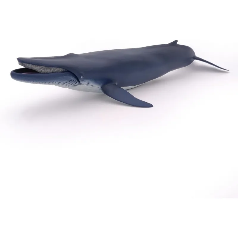 Blue whale - PAPO-56037 - Papo - Papo - Le Nuage de Charlotte