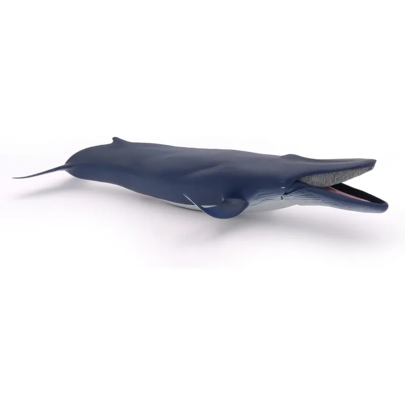 Blue whale - PAPO-56037 - Papo - Papo - Le Nuage de Charlotte