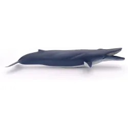 Blue whale - PAPO-56037 - Papo - Papo - Le Nuage de Charlotte