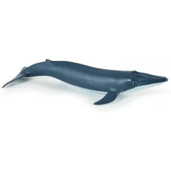 Blue whale calf - PAPO-🟢-56041 - Papo - Papo - Le Nuage de Charlotte