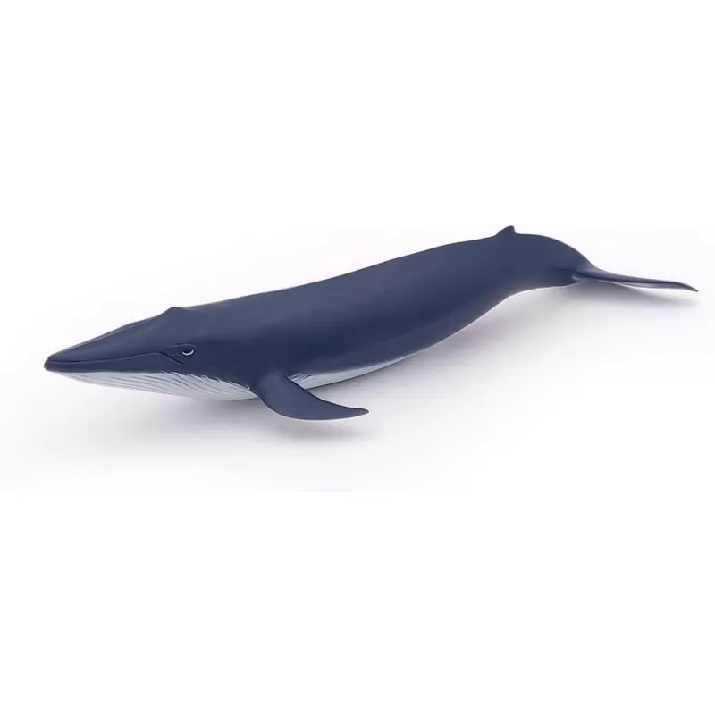 Blue whale calf - PAPO-🟢-56041 - Papo - Papo - Le Nuage de Charlotte