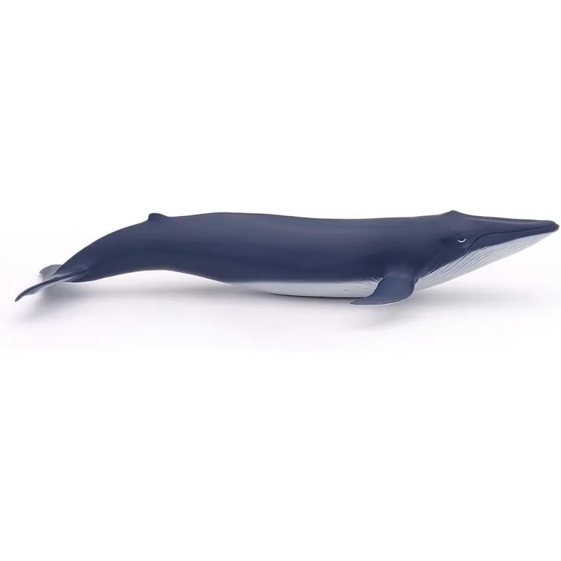 Blue whale calf - PAPO-🟢-56041 - Papo - Papo - Le Nuage de Charlotte