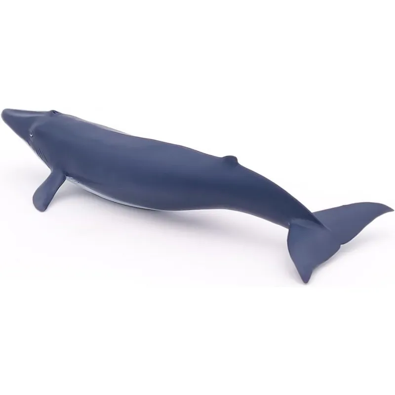 Blue whale calf - PAPO-🟢-56041 - Papo - Papo - Le Nuage de Charlotte