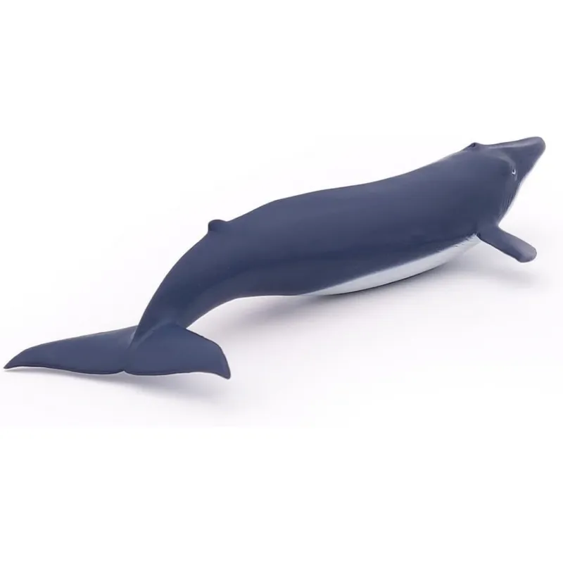 Blue whale calf - PAPO-🟢-56041 - Papo - Papo - Le Nuage de Charlotte