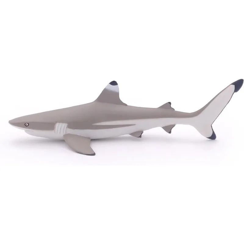 Blacktip reef shark - PAPO-🟢-56034 - Papo - Papo - Le Nuage de Charlotte