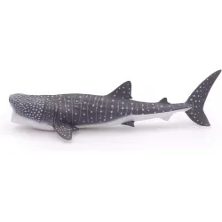 Whale shark - PAPO-56039 - Papo - Papo - Le Nuage de Charlotte