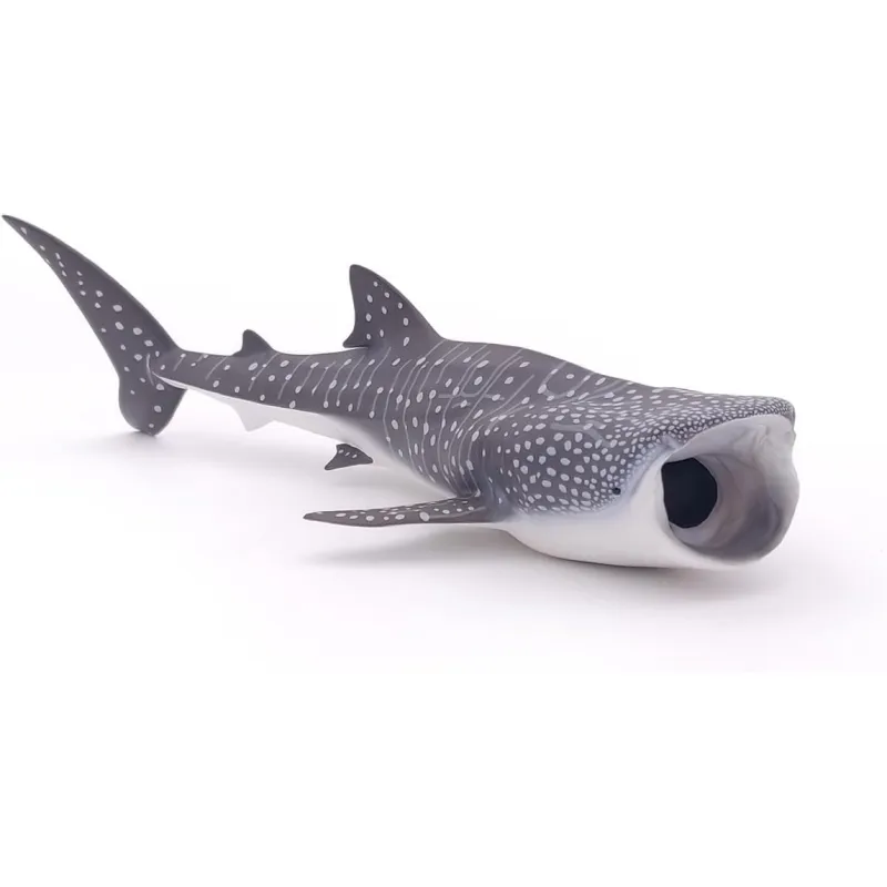 Whale shark - PAPO-56039 - Papo - Papo - Le Nuage de Charlotte