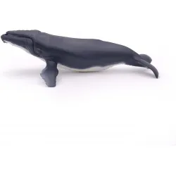 Humpback whale - PAPO-56001 - Papo - Papo - Le Nuage de Charlotte