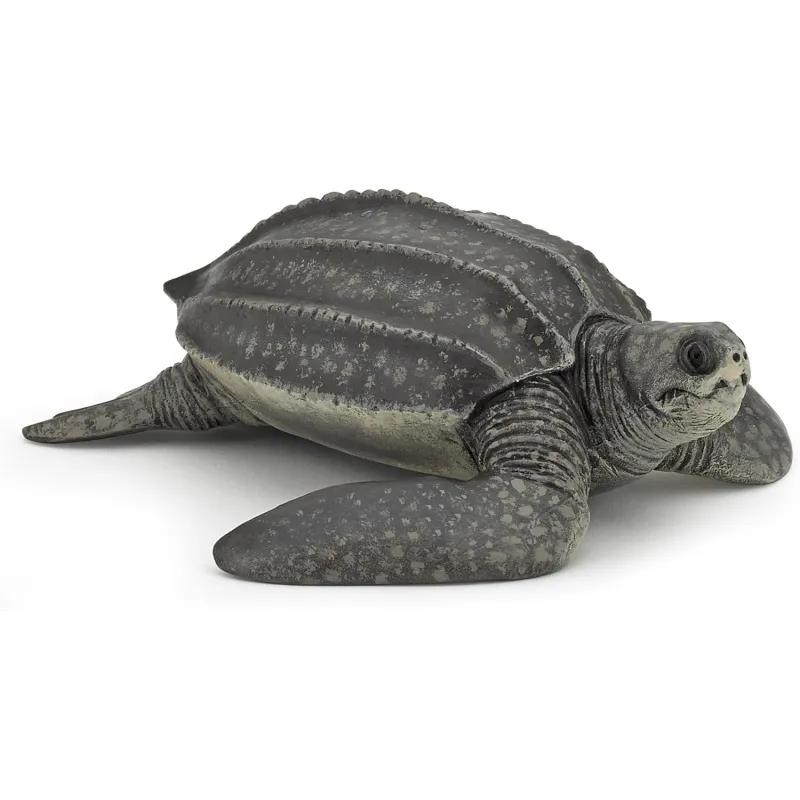 Leatherback turtle - PAPO-🟢-56022 - Papo - Papo - Le Nuage de Charlotte