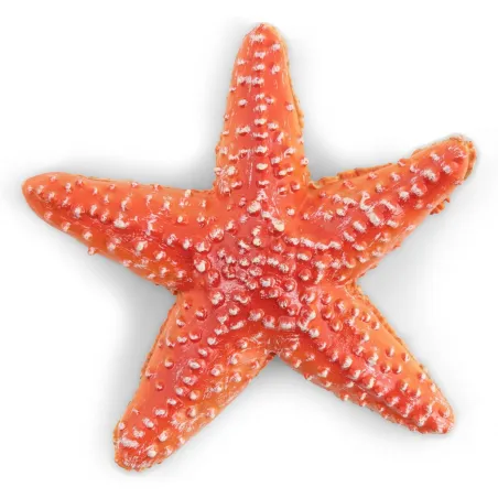 Starfish - PAPO-🔵-56050 - Papo - Papo - Le Nuage de Charlotte