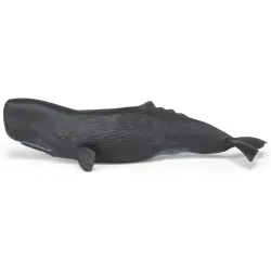 Sperm whale - PAPO-56036 - Papo - Papo - Le Nuage de Charlotte